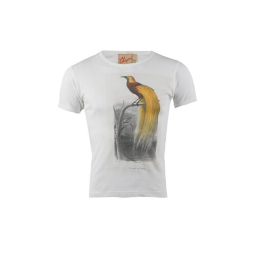 T-shirt L'Oiseau de Paradis- Vintage - Jersey de coton - Couleur blanc