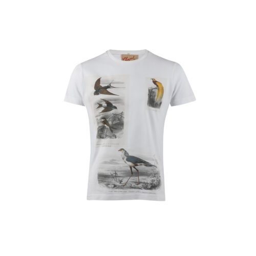 Birds T-shirt - Vintage - Cotton jersey - White color