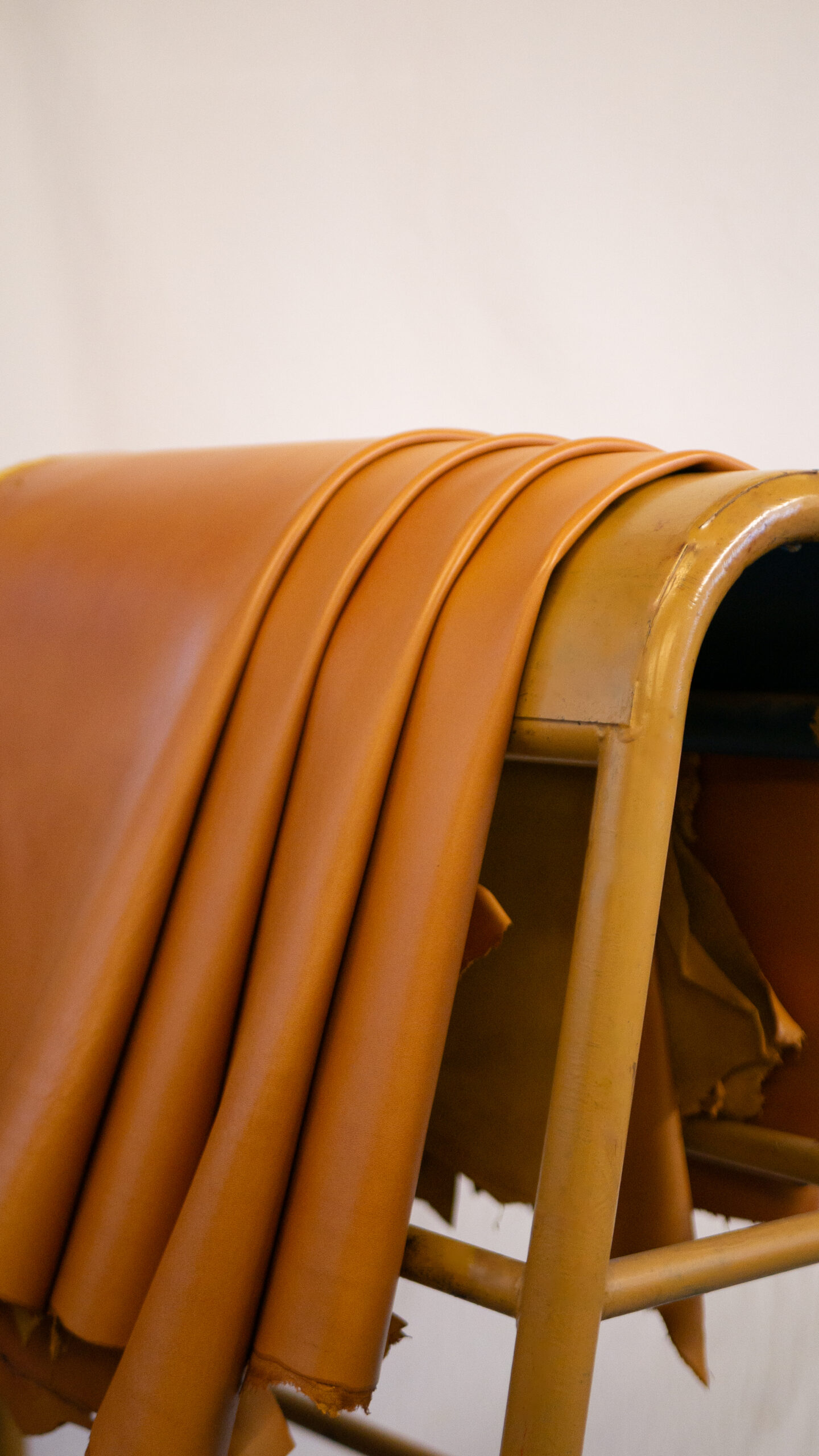 Peaux de cuir de mouton - Blousons